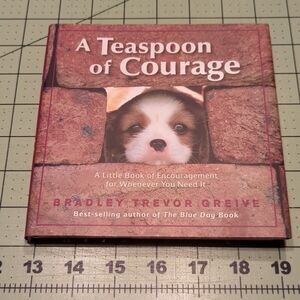 A Teaspoon of Courage Book